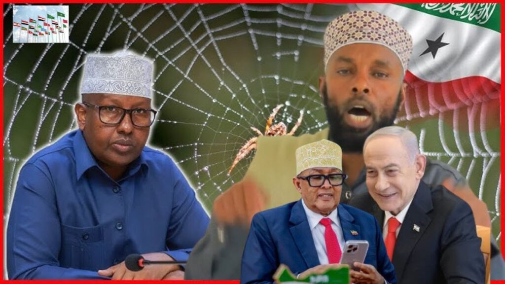 Fiqi Xuub Caaro Kuwi Aad Laascanod Ka Qixisay Ayaa Silcaya,Borame Ma Dumin Kartid”Caqil Reer Borame