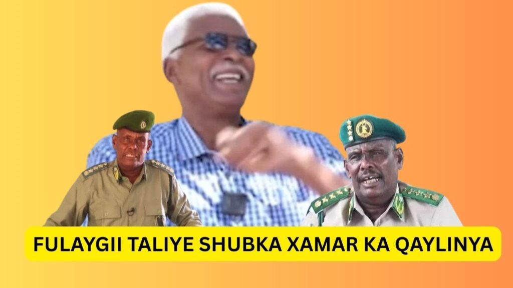 Dagaalki Snm,Ayaa Fulaygaa Taliye Shubka Isagoo Cararaya Aan Qabanay,kii Baa Xamar Ka Soo Hanjabaya