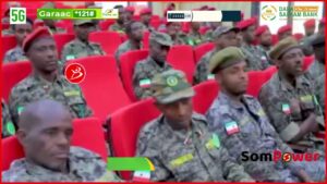 Taliye Nimcaan Oo Luqadii Ugu Adkayd Xamar Iyo Codowga Kula Hadlay