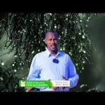 Siirooga Hargaysa Iyo Wixii Ka Dhacay