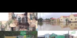 Halista Roobab Mahigaana Oo Ka D’ay Berbera