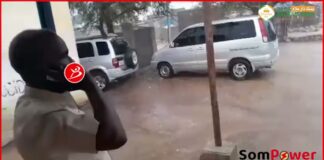 Maasha Allaah Roob wayn Ayaa Ka Curtay Degmada Laaso Dawaco e Gobolka Saaxil,