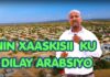 Nin Caqila Oo Xaaskisi Arabsiyo Si Xun Ugu Dilay+ Meydkedina La Helay