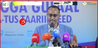 Boobe Waa Mujaahid Dalkan Abaal Weyn Ku Le Oo Aan Ka Shaqeysan….