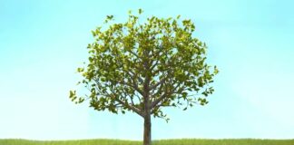 fariinta Aan ka dhigno 15 ka April maalin ficil iyo maalin cagaaran