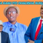 Fashilkii Xumba Wayne Inuu Soo Noqdo May Ahayn ,Maxamuud Xaashi ,xisbigana Malahe Waa Xisbi Qaran