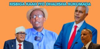 Fashilkii Xumba Wayne Inuu Soo Noqdo May Ahayn ,Maxamuud Xaashi ,xisbigana Malahe Waa Xisbi Qaran