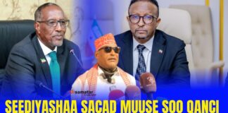 “Maayir ilaa aad Seediyaasha (Sacad Muuse) sii qanciso, oo aad Caasimada midayso haka tagin…”