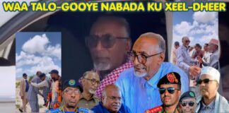 Odayashi Deganka Fiqi-aadan Ee Gobalka Salal Oo Nabada Diyaar U Ah” Wasir Cabdale Waa Astaan Nabaded