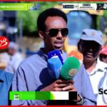 dadka dagan xafadan farah oomar waa dad wanagsan oo nadafad jecel oo dowlada hoose la shaqeenaya