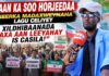 Waan Ka Soo Horjeeda Xeerka Madaxweynaha Lagu Celiyey ‘ Xildhibaanada Waxa Aan Leeyahay Is Casila