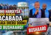Biyihii Hargaysa Oo Hada Sacabada Lagaga Dhergi Doono Iyo Bushaaro