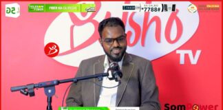Xanuunka Xumadda Waxa u dhinta 20 Kun Oo Qof, Wana Afar Qaybood Oo Midba Mida kale Ka Halis Badan .