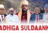 Wasiirka Arimaha Guduhu Door Inteeleeg Ayuu Ku Laha Sidaynta Suldaan Qabile