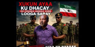 Ninka ka Cabanaya Cidanka Qaranku Askari Maha Xukun 4 Sano Ah Ayaa Ku Dhacay Oo Anshax Xuma Laga”