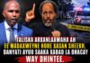 Taliska Arxanlaawaha Ah Ee Madaxweyne Hore Xasan Sheekh, Danyati Ayuu Saaka Xabad La Dhacay Way