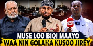 Muuse Loo Biqi Maayo Waa Nin Golaha Kusoo Jirey ‘ Saleeban Waxa Lagu Xasuusta Hal Adeyg