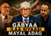 Abwaan ilaa Siyaasi Mayal adag 0/1