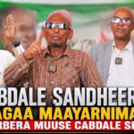 Umadii Waxaad Ku Sheegtey Turub” Cabdale Sandheere Isagaa Maayarnimada Berbera Muuse Cabdale Siiyey
