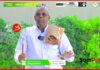 “Xukumada Maanta Joogta Way Ku Fashilantay Wax Qabadka Gobolka Daadmadheedh”Ugaas Cabdilahi