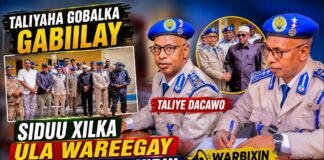 Taliyaha Gobalka Gabiilay Taliye Dacawo Siduu Xilka Ula Wareegay Iyo Wixi Laga Yidhi