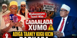 Madaxweyne Taasi Waa Cadaalada Xumo Adiga Taaney Kugu Kicin Dadkaga