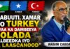 Jabbuuti Xamar Iyo Turkey Ayaa Ka Dambeeya Colada Galbeedka Iyo Ta Laascanood”wasiir Cabdale