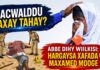 Hargaysa:Aabe Wiilkiisi Dhagax Madaxa Kala Dhacay Ilaa Uu Dhintay + 10 Jir Ayuu Ahaa Marxumku