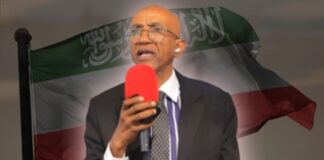 “Haddaynu Isaaq Nahay Oo Aan Ku Jiro, Aynu Joojino Af-xumada Iyo Faanka.”