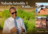 Nabadu labadda Reer Cali-Saajid Wadda..”Maayirka Berbera