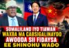 Somaliland Iyo Tiawan Waxba Ma Cabsigalinaydo Awooda Sii Fidaysa Ee Shinuhu Wado