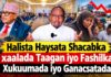 Halista Haysata Shacabka xaalada Taagan iyo fashilka xukuumada iyo ganacsatada
