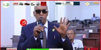 Madaxweynahu Marka Uu Tagayey ‘ Waxa Uu Yidhi Dhamaatin Askari Baa Tihiin ‘ Xil- Indho Indho