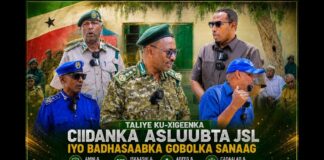 Taliyaha Asluuba Sanaag Oo Nin Warsangaliya Loo Magacaabay
