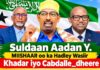 Suldaan Miishaar: Wasiirradu Waxay Muujiyeen Midnimada Somaliland