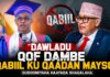 “Dawladu qof dambe Qabiil ku qaadan mayso” Gudoomiyaha Haayada Shaqalaha