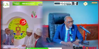 Wasirka Arimaha Gudaha Oo Hawlo Shaqo U Tagay Saaka Gobalka Awdal