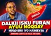 Dalkii Isku Furan Ayuu Noqday Oo Muqdisho iyo Hargays”Barkhad Coofiye Oo Halis Ka Digay