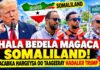 “Hala Bedela Magaca Somaliland!” Shacabka Hargeysa Oo Taageeray Hadalkii Trump