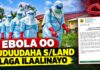 Cudurki Ebola Oo Xuduudaha S/land Laga Ilaalinayo
