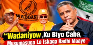13milyan Oo Dollar Ayay Musuqmasuqday Xukuumada Ciro”Maxamud Xaashi