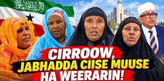 CIRROOY, JABHADDA CIISE MUUSE HA WEERARIN!” — Haweenkii Abokor Ciise Oo Hanjabay