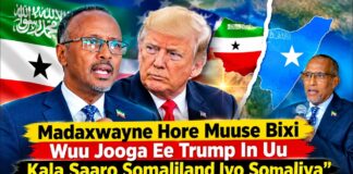 Madaxwayne Hore Muuse Bixi Wuu Jooga Ee Trump In Uu Kala Saaro Somaliland Iyo Somaliya”Axmed Yasiin