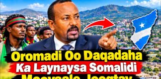 Oromadi Oo Daqadaha Ka Laynaysa Somalidi Mooyaale Joogtay