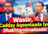 “Wasiir, Cadday Aqoontaada Iyo Dhakhtarnimadaada!”