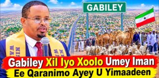 Gabiley Xil Iyo Xoolo Umey Iman Ee Qaranimo Ayey U Yimaadeen ‘ Maxamed Aamin