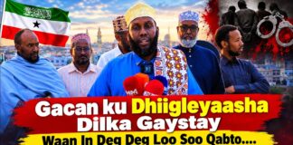 “Gacan ku Dhiigleyaasha Dilka Gaystay Waan In Deg Deg Loo Soo Qabto…