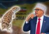 Marba Hadi Aynu Caashabadhidiab Qabanayno Wixii