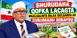 Shurudaha Qofka Lacagta Maalgalinta Bilaa Dulsarka Ah Xukumadu Siinayso