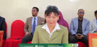 500 Kun Ee Dolar Ee Lagu Maal-galinayo Dhalinyarada Dahabshiil Ayaa Bixinaya Oo La Dareen